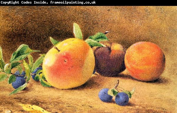 Hill, John William Study of Fruit